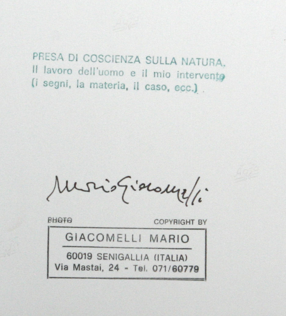 Various International Artists, Mario Giacomelli - Untitled from Presa di Coscienza Sulla Natura, c1975