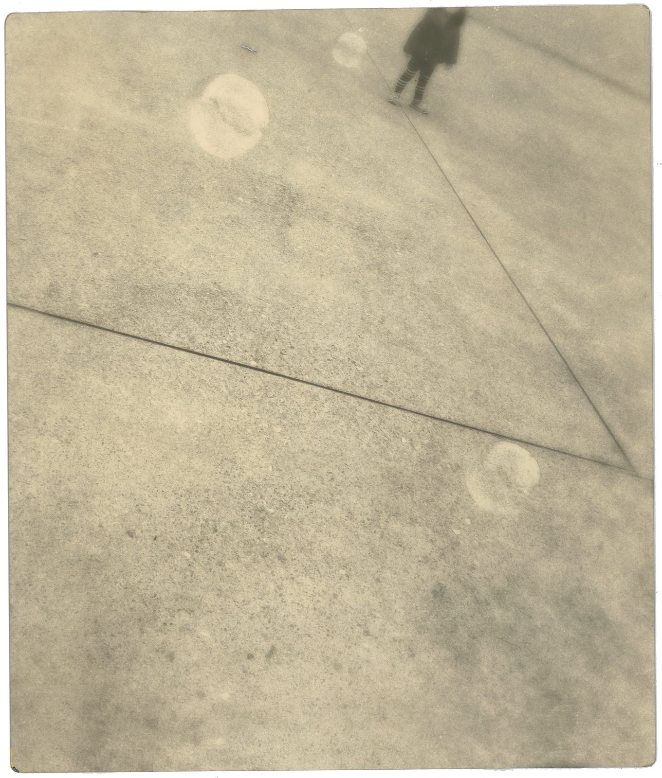 Miho Kajioka, #0082, 2023