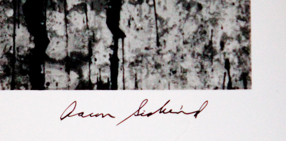 Various International Artists, Aaron Siskind - Arizpe 18, 1966