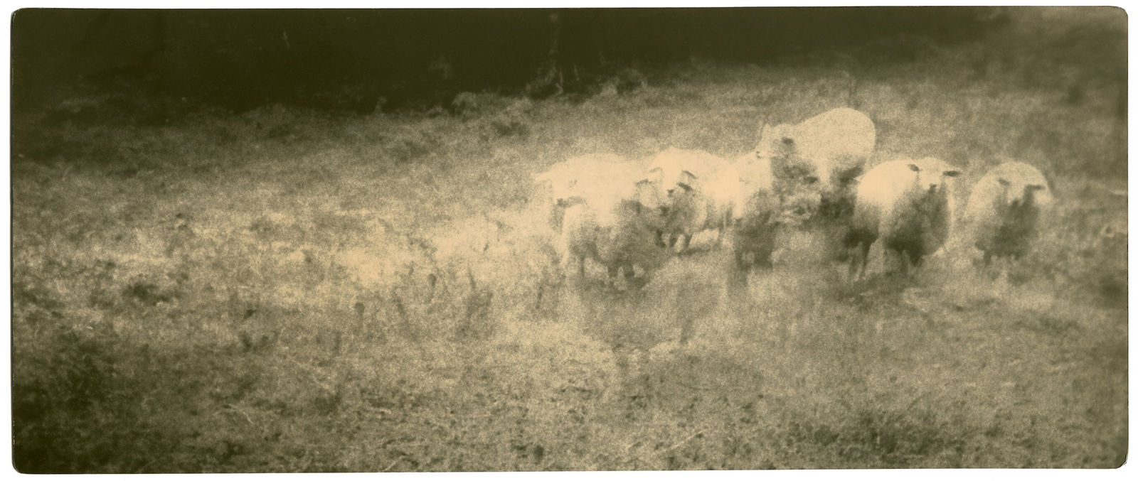 Miho Kajioka, BK0180, 2015