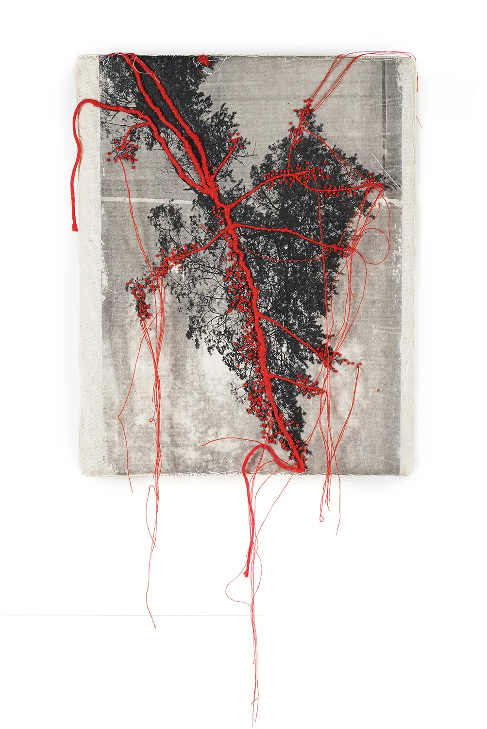 Jackie Mulder, Thought Trails #596, 2026