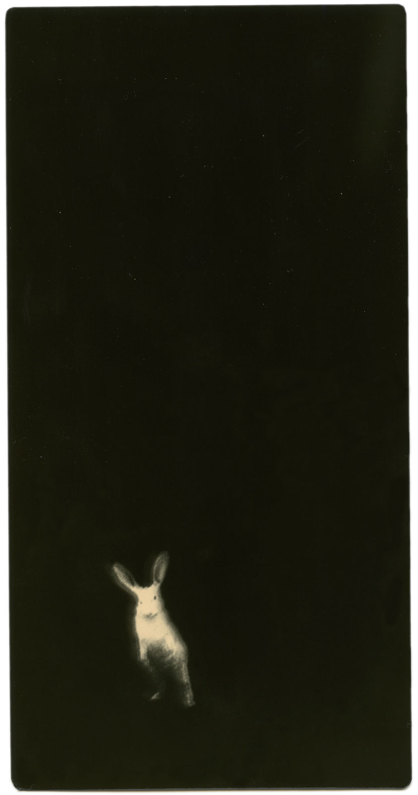 Miho Kajioka, BK0348, 2018