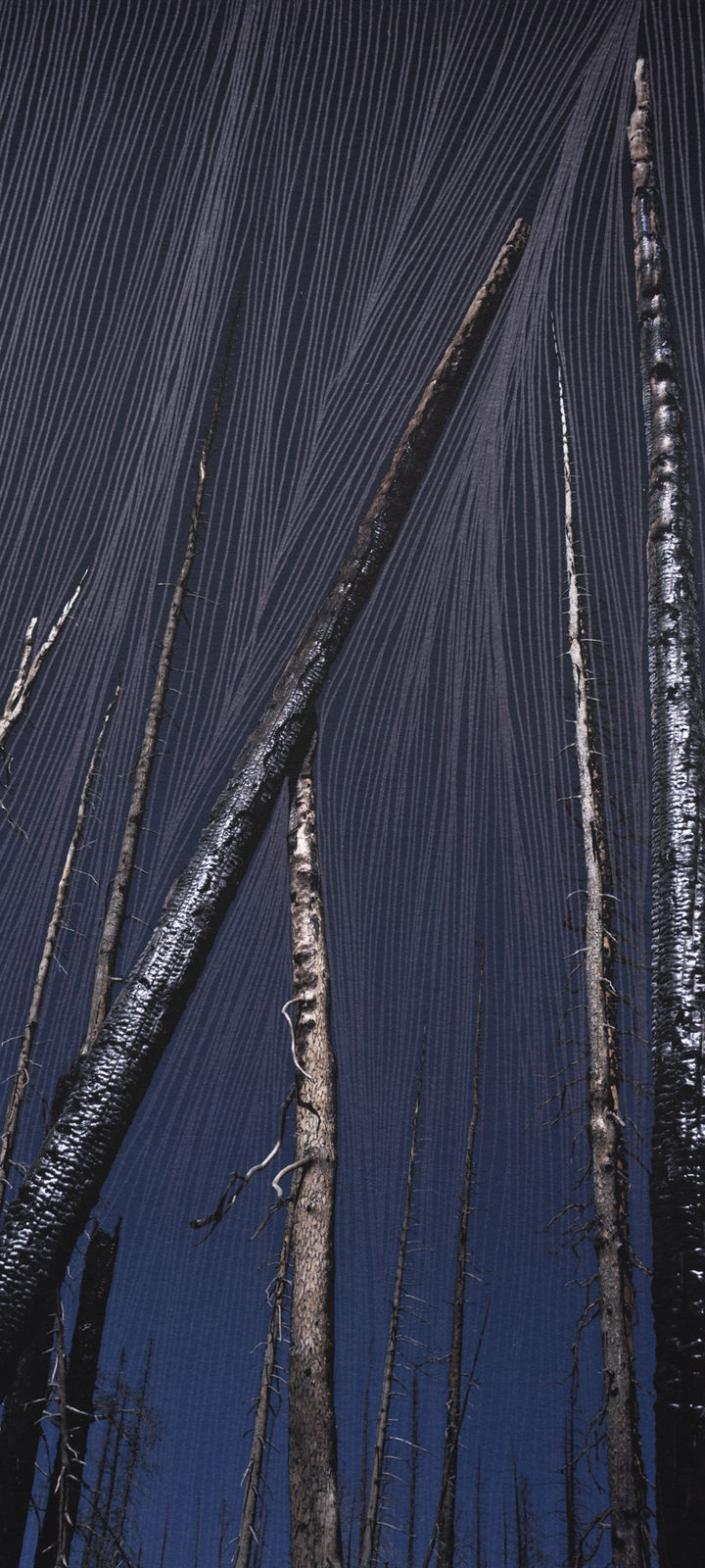 Morvarid K, Standing Still 10-3, 2026