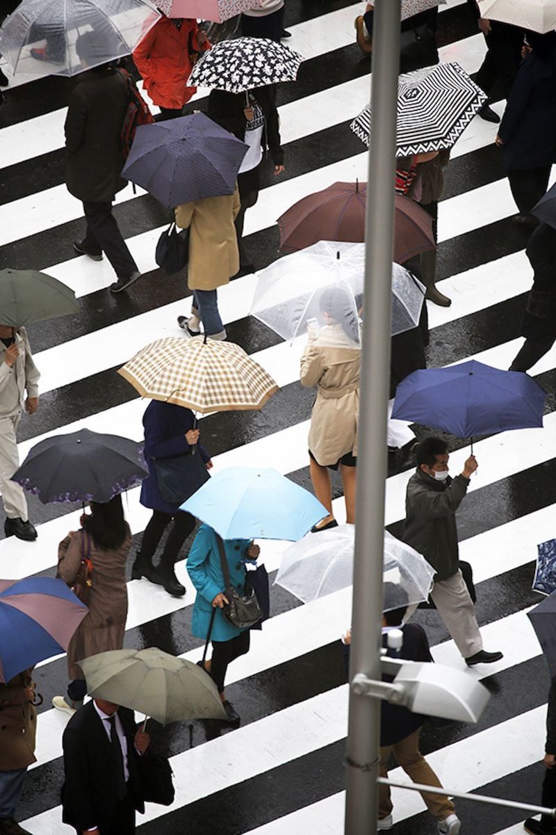 Yoshinori Mizutani, Rain 035, 2015