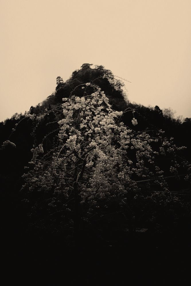 Albarrán Cabrera, The Mouth of Krishna #167, 2014