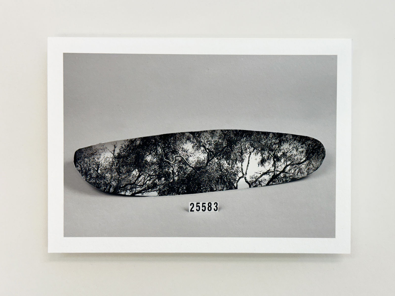 Patrick Waterhouse, 25583, 2022-23