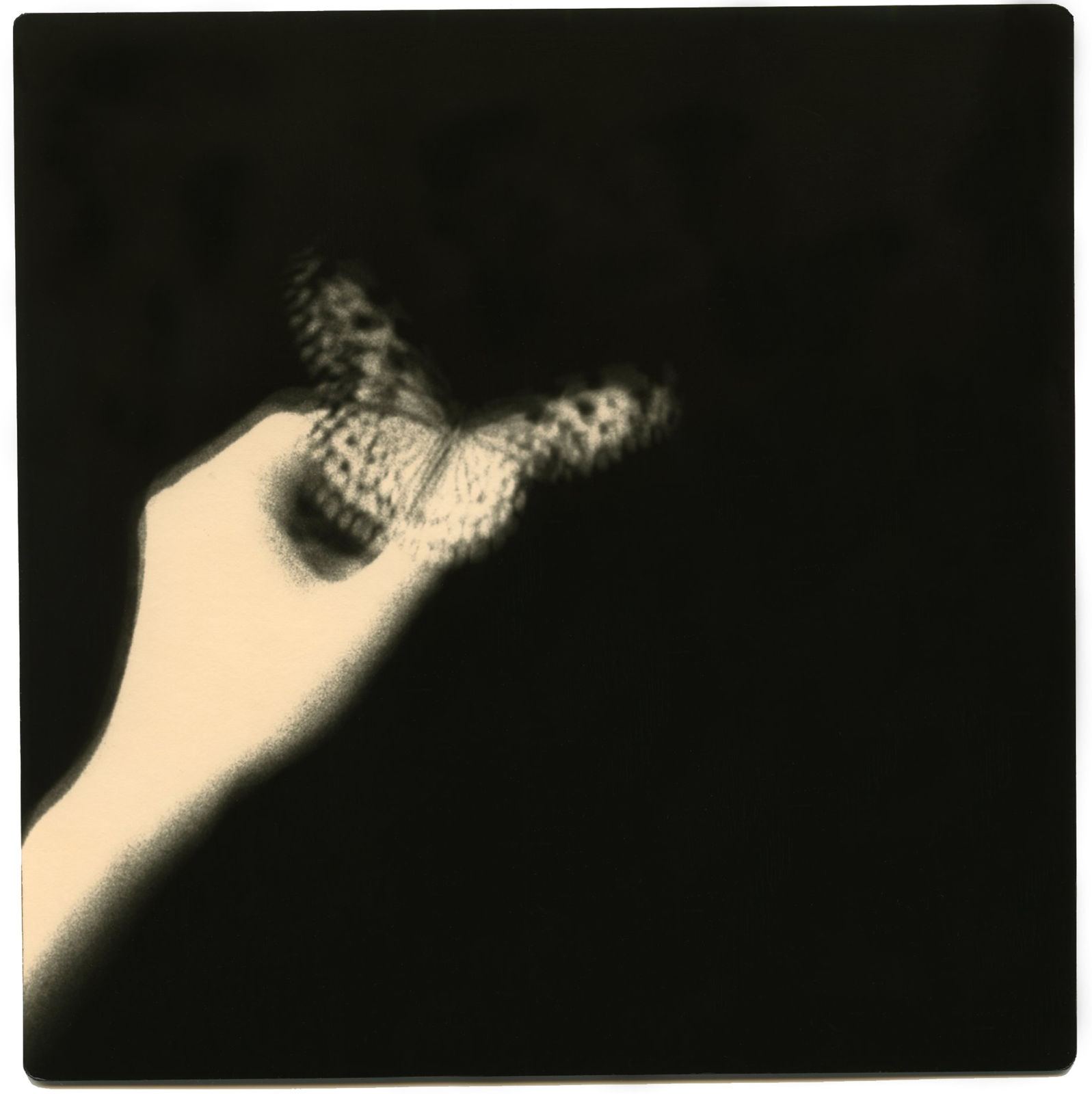 Miho Kajioka, BK0507, 2014