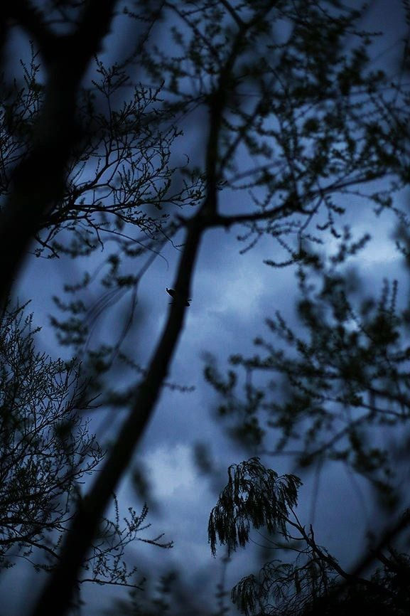 Yoshinori Mizutani, Yusurika 049, 2015