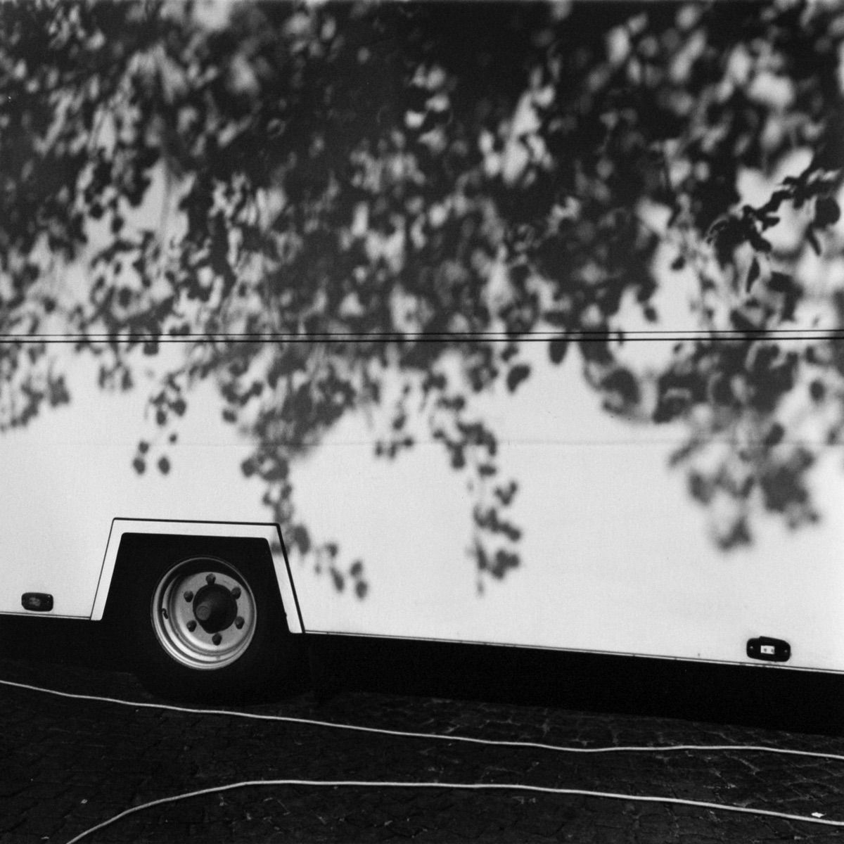 Reiko Imoto, Daydreamers from Miniascape Window, 2011