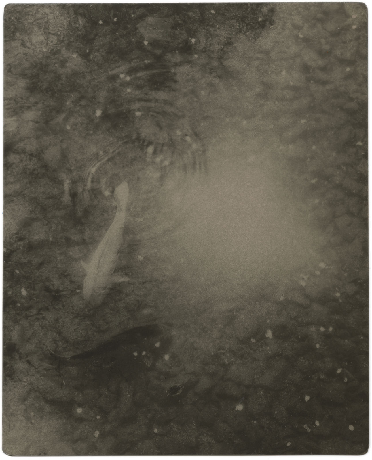 Miho Kajioka, BK0622, 2020