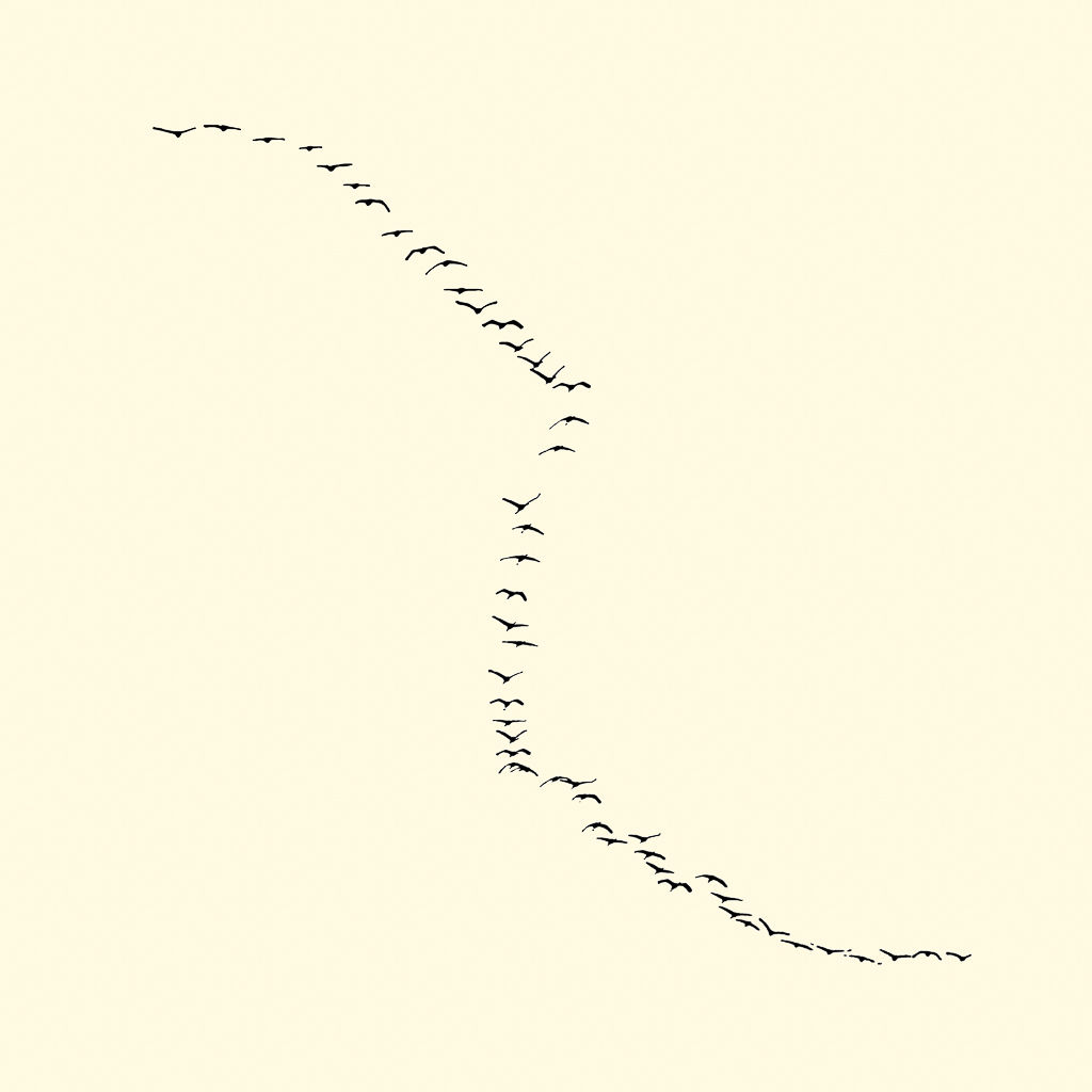 François Laxalt, Cinquante Deux / Fifty two, 2009