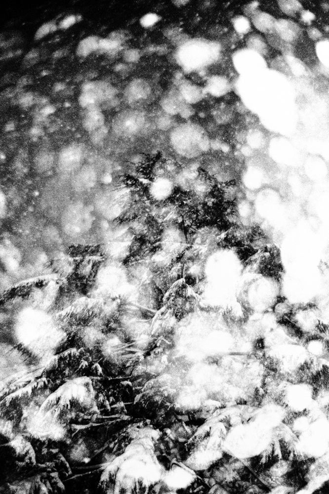 Munemasa Takahashi, Laying Stones 035, 2014