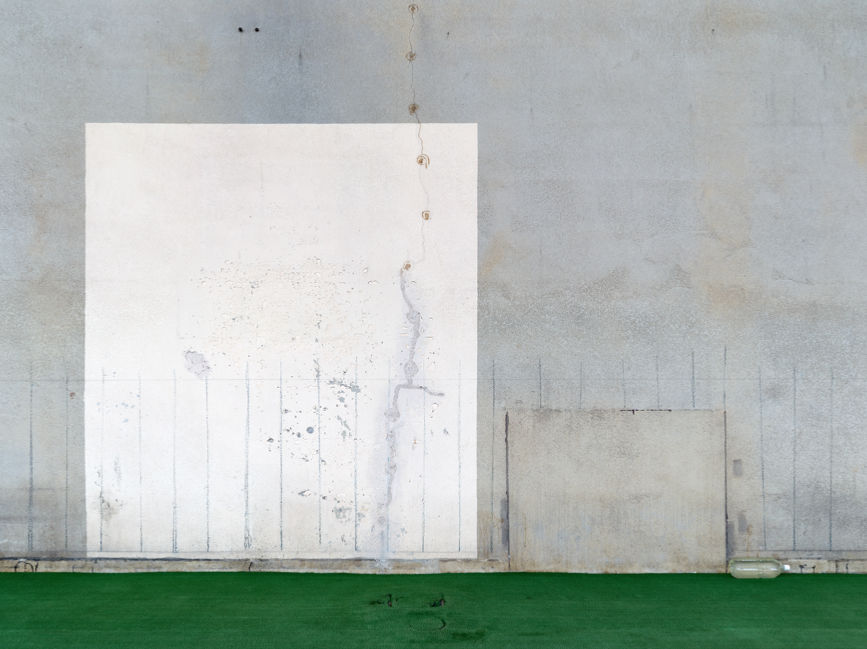 Bert Danckaert, True Nature #154 (Tokyo), 2019