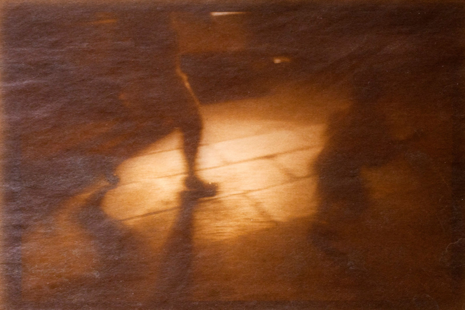 Naoyuki Ogino, Hunt, 2016