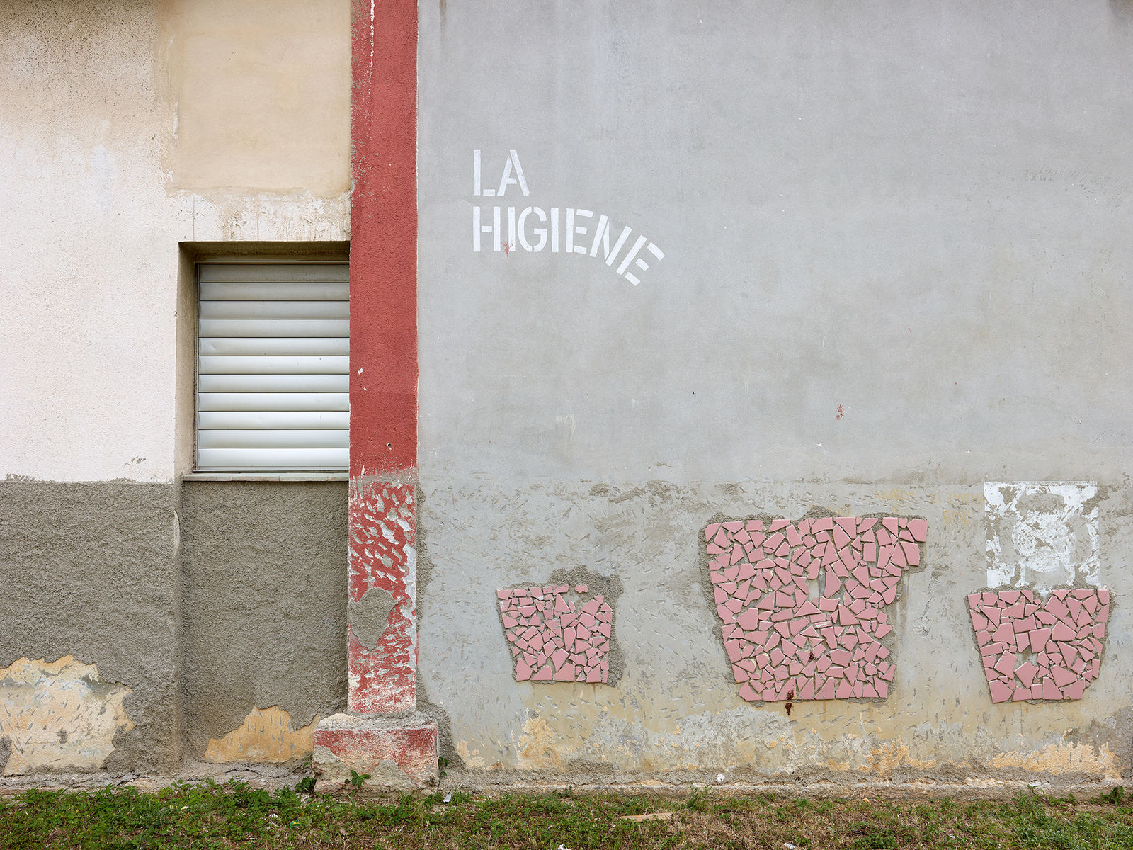 Bert Danckaert, True Nature #175 (Havana), 2022