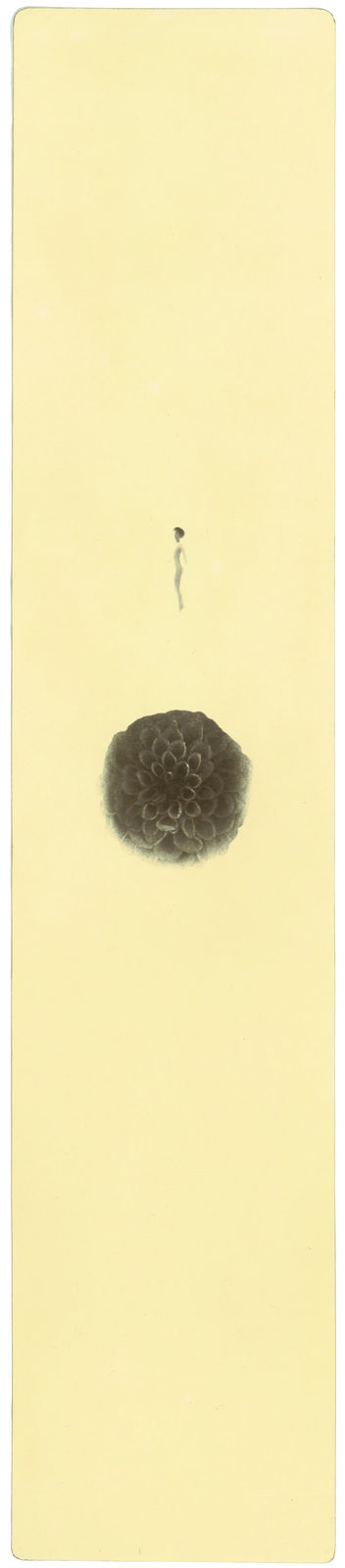 Miho Kajioka, BK0308, 2018