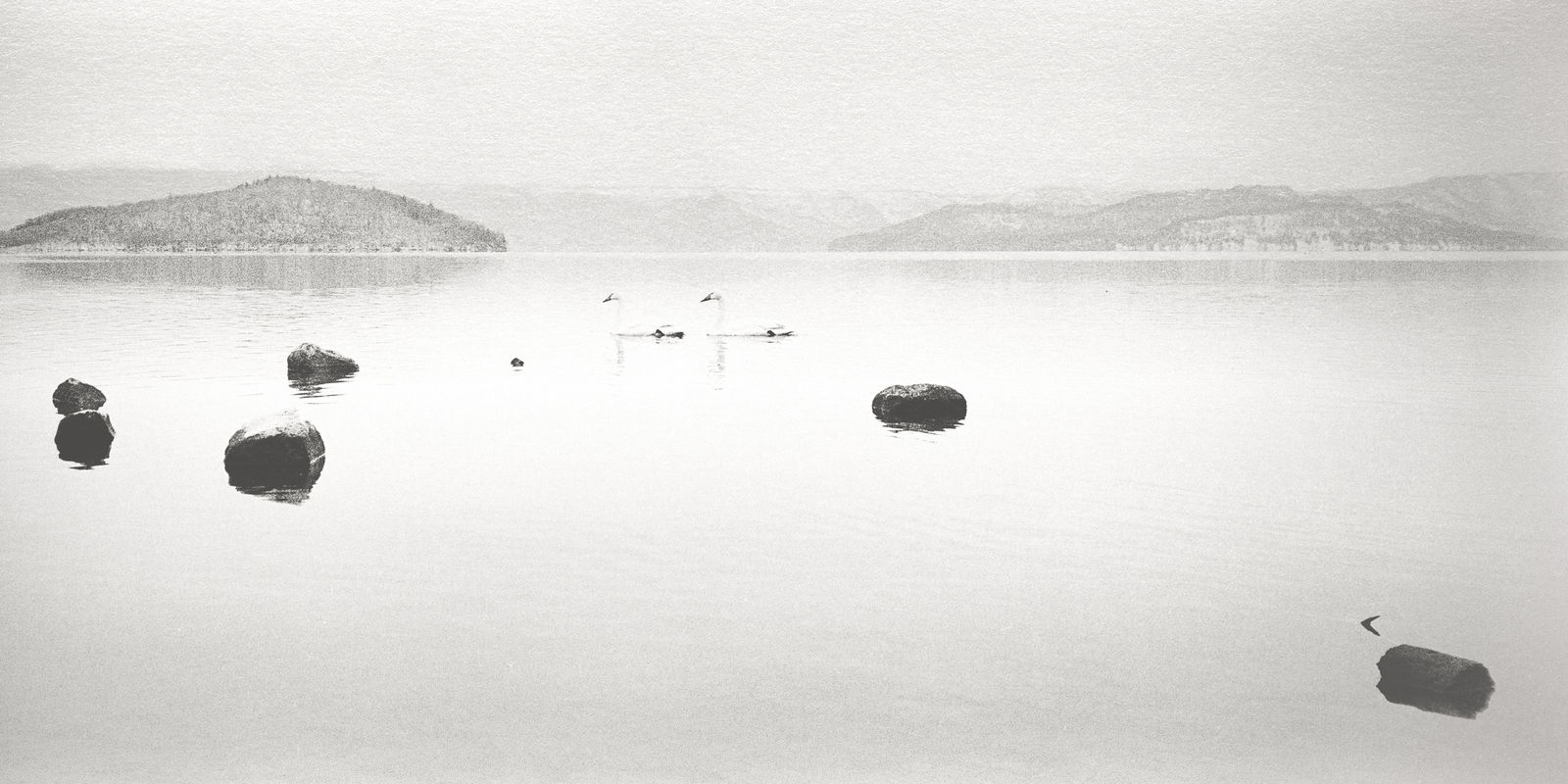 Margaret Lansink, Life (Concept of Ma), 2019