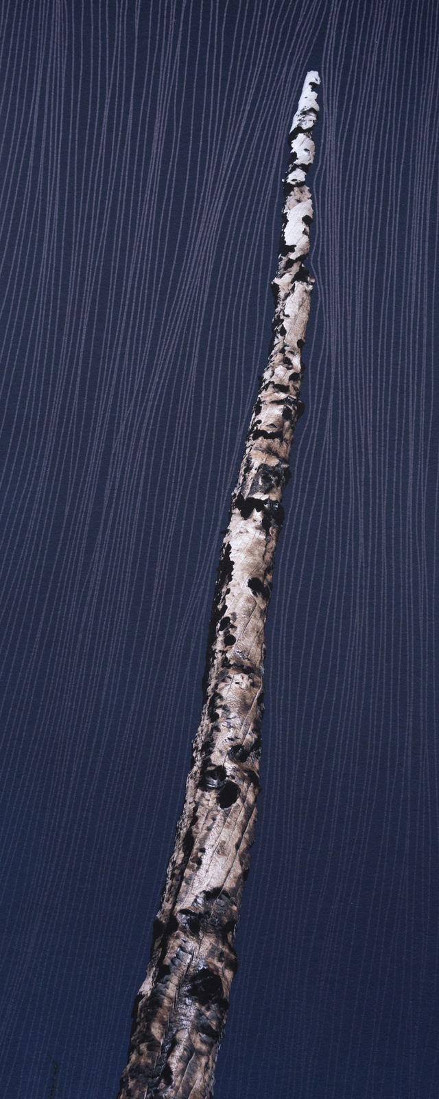 Morvarid K, Standing Still 10-2, 2026