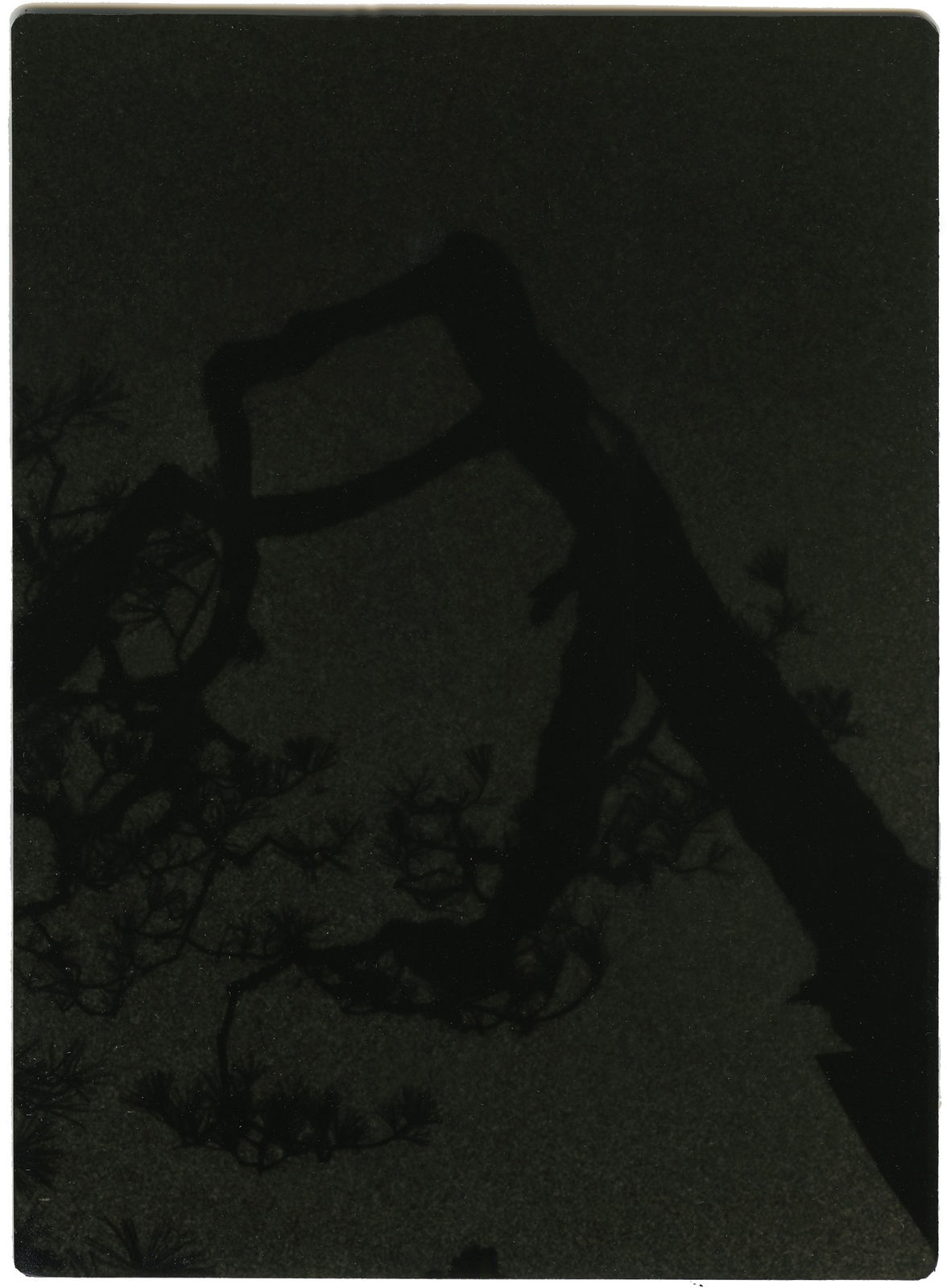 Miho Kajioka, #0044, 2021