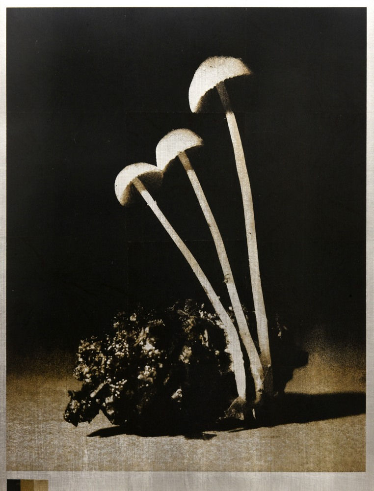 Norio Takasugi, KZR-2, 2022