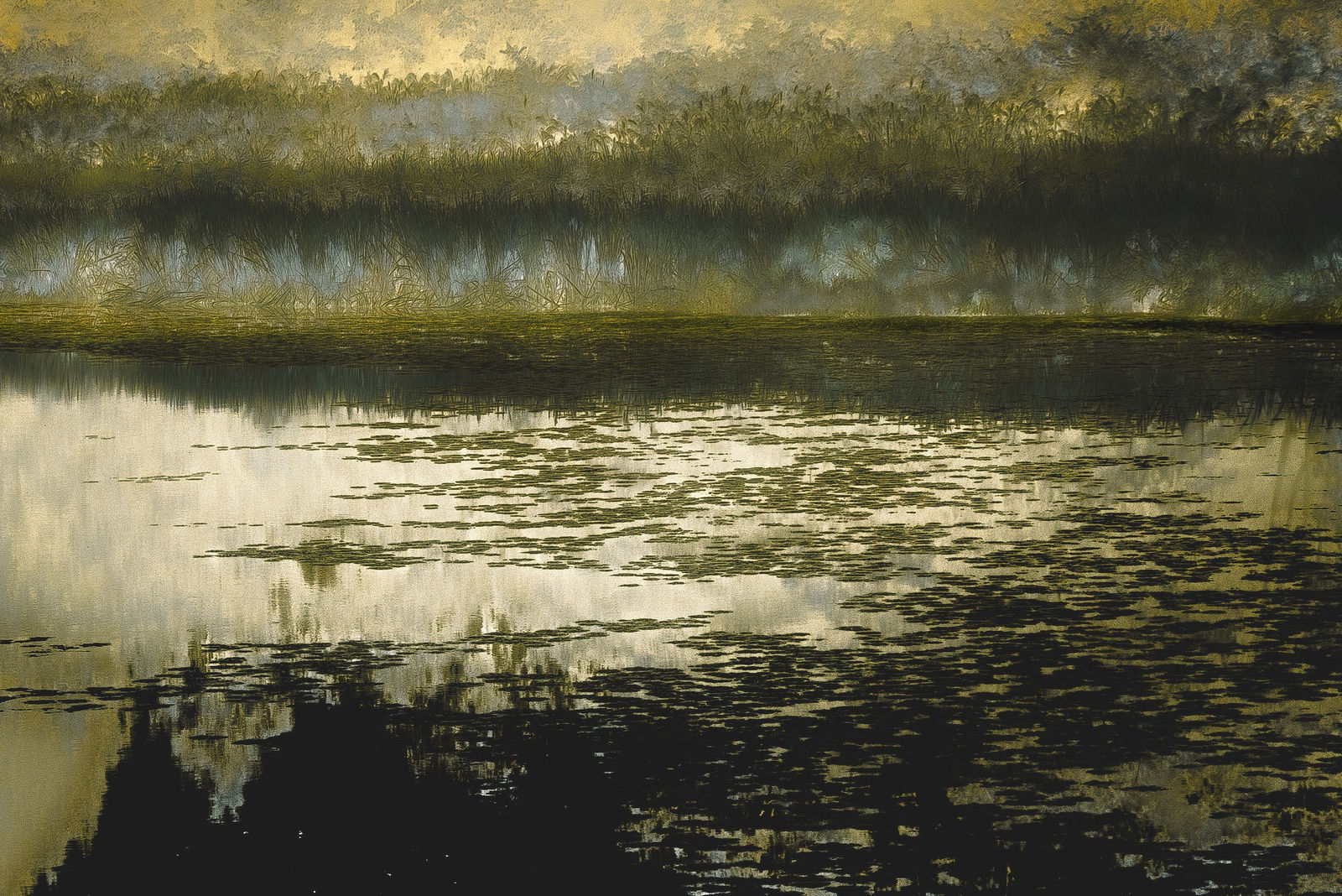 Hayato Takekoshi, 目覚め, 2024