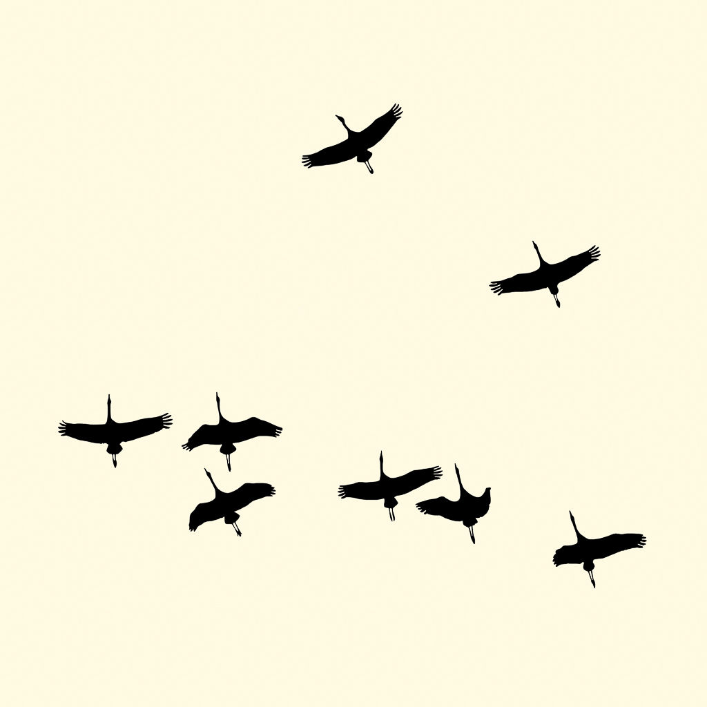 François Laxalt, Huit / Height, 2007