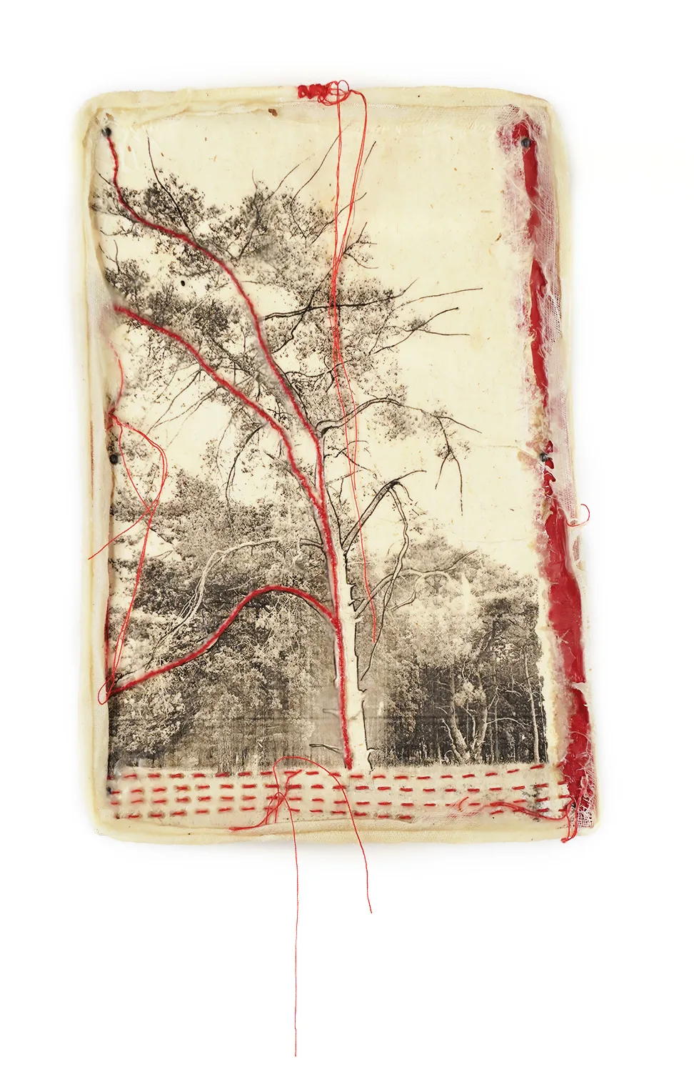 Jackie Mulder, Thought Trails #571, 2025