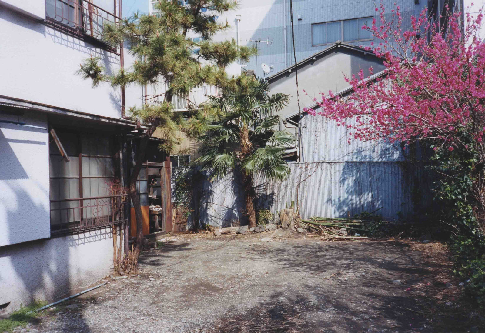 Ryudai Takano, 2002.03.24 #30 (Daily Snapshots), 2002