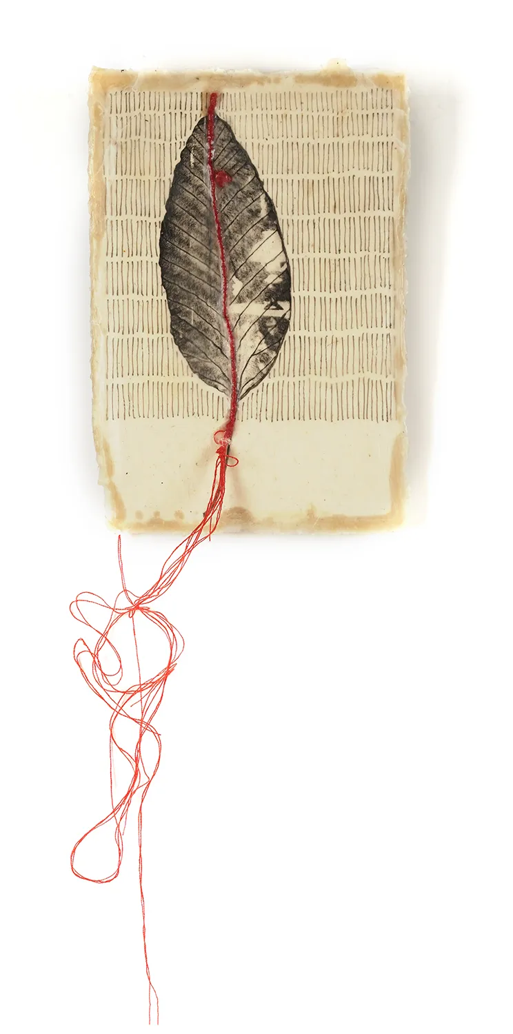 Jackie Mulder, Thought Trails #496, 2025