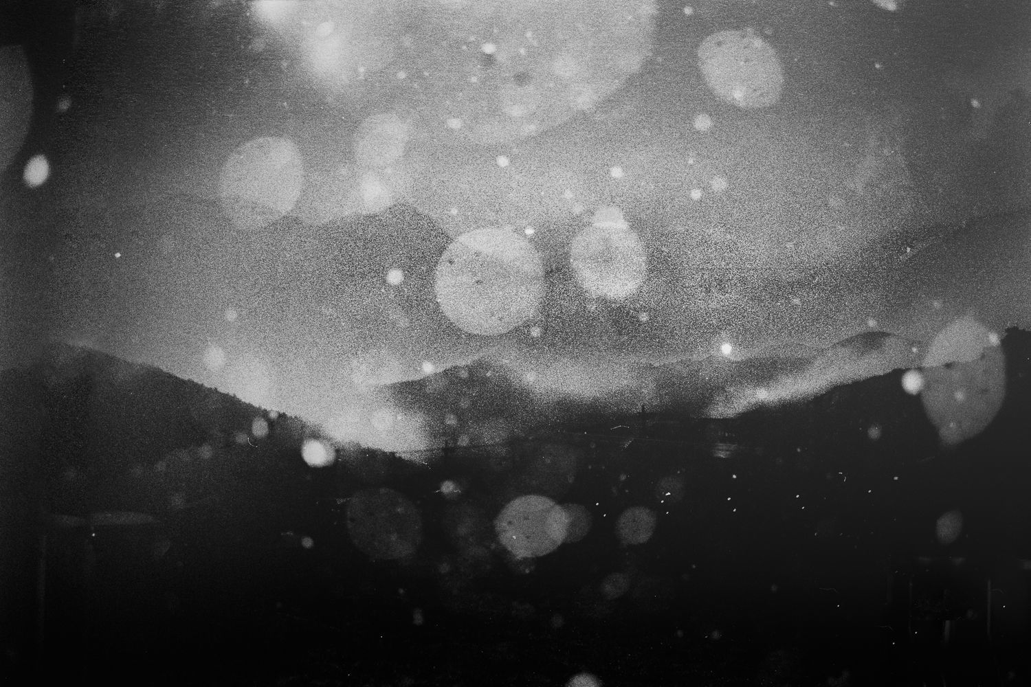 Margaret Lansink, Winter 3, 2017