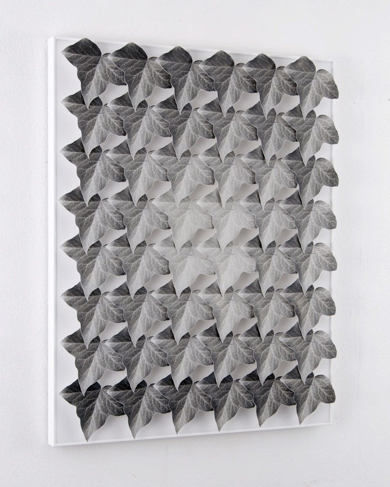 Norio Takasugi, Efeu 15-4G, 2017