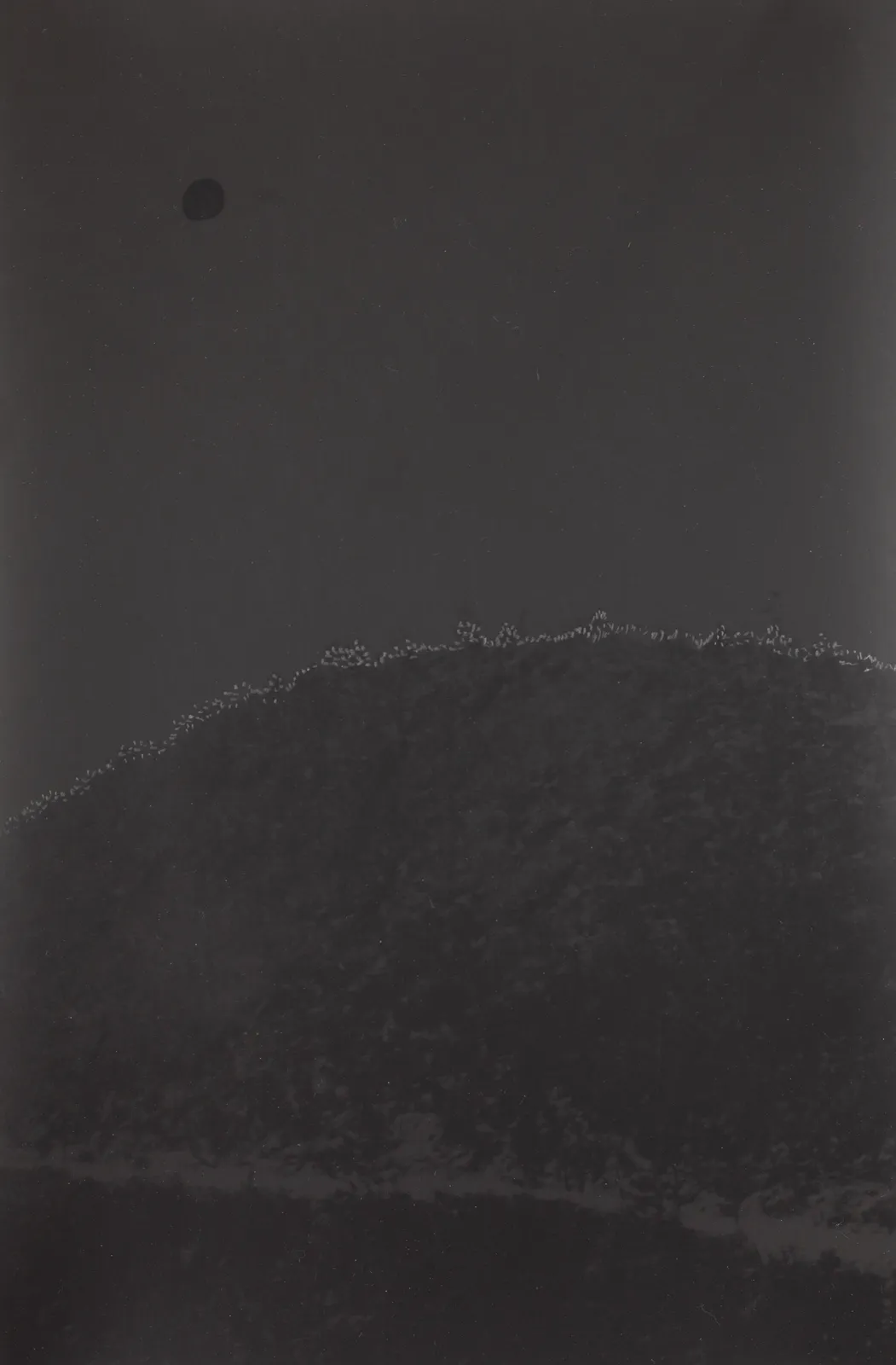 Marco Tagliafico, Luminous beings, 2019