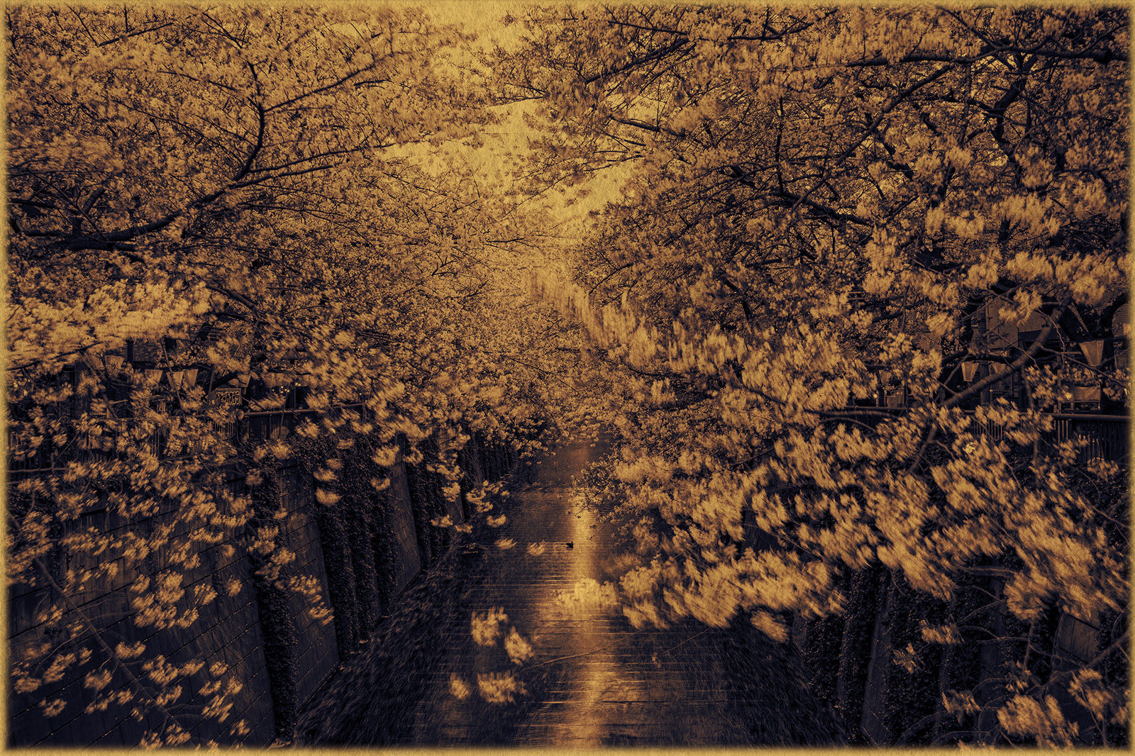 Albarrán Cabrera, The Mouth of Krishna #863, 2013