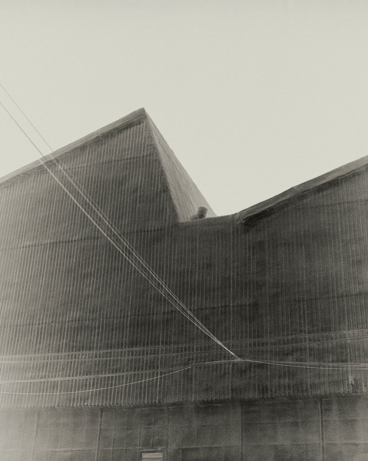 Sayuri Ichida, Absentee #043, 2020