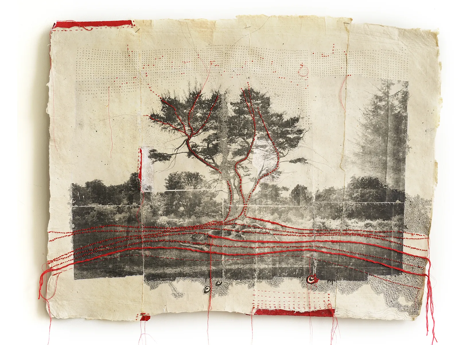 Jackie Mulder, Thought Trails #581, 2026