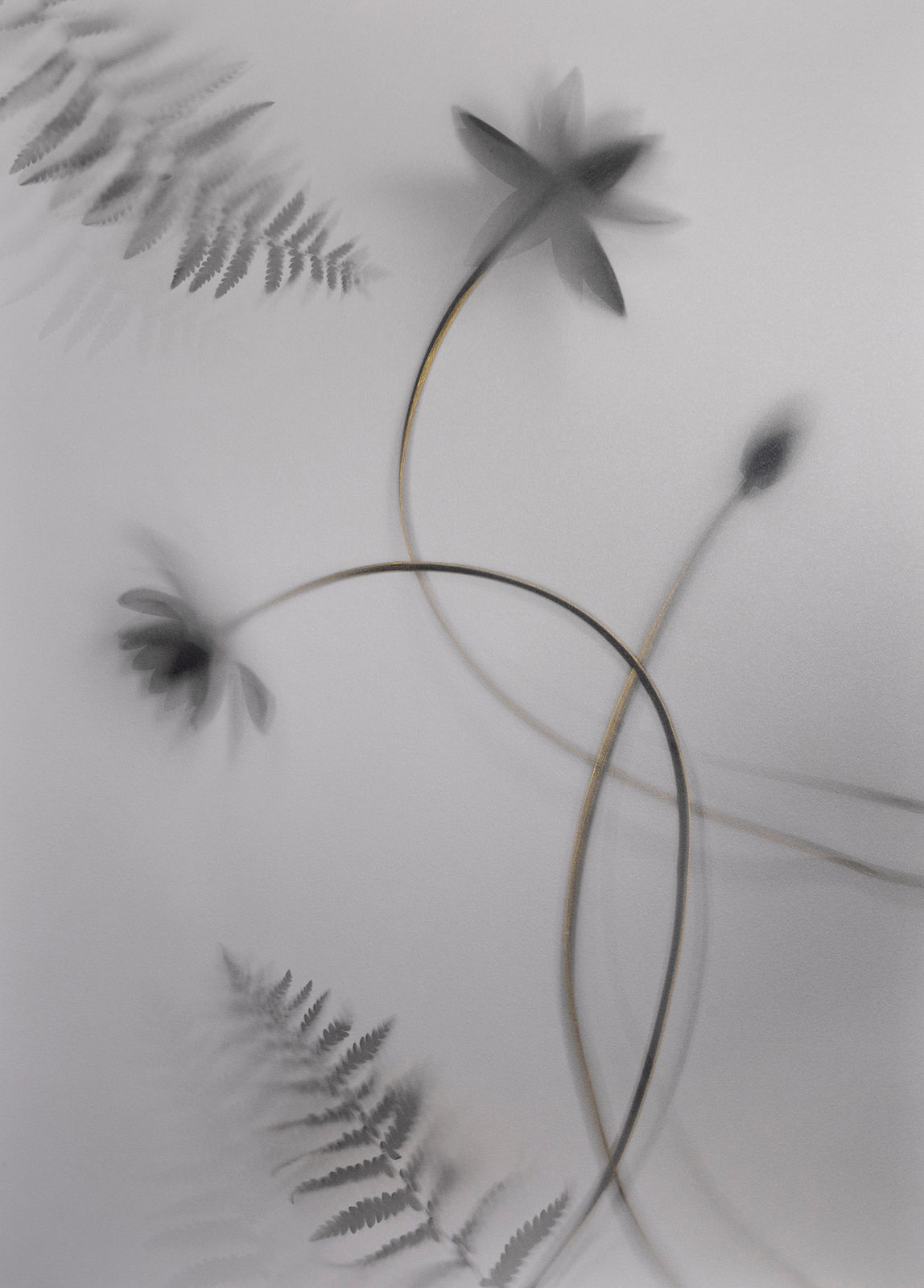 Yumiko Izu, 2020 Utsuroi 146_G1, 2020