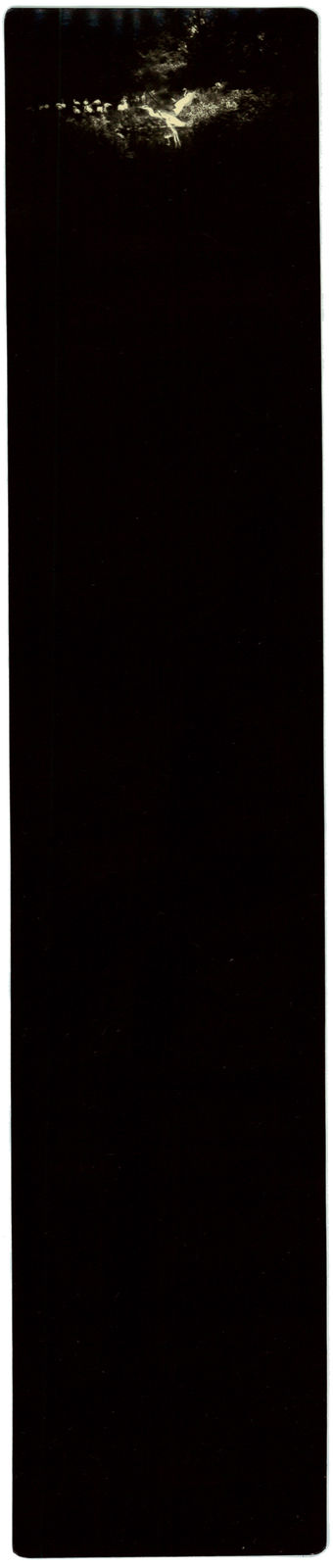 Miho Kajioka, BK0465, 2019