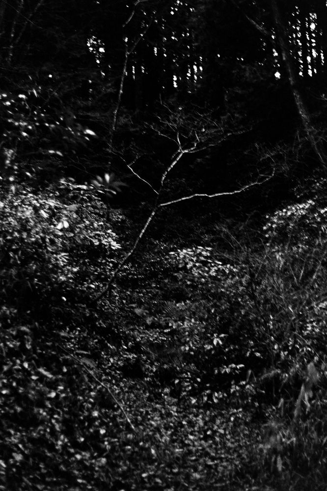 Munemasa Takahashi, Laying Stones 007, 2014