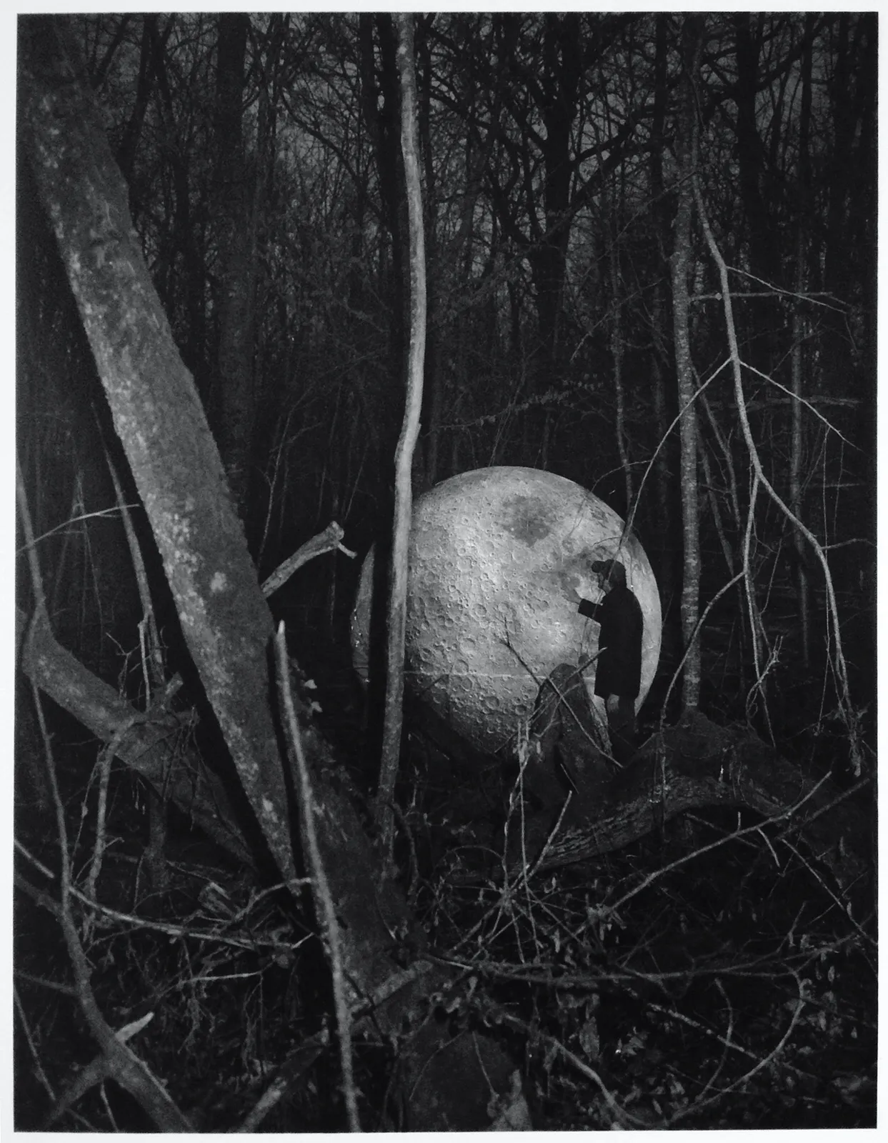 Laurent Millet, L’Astrophile