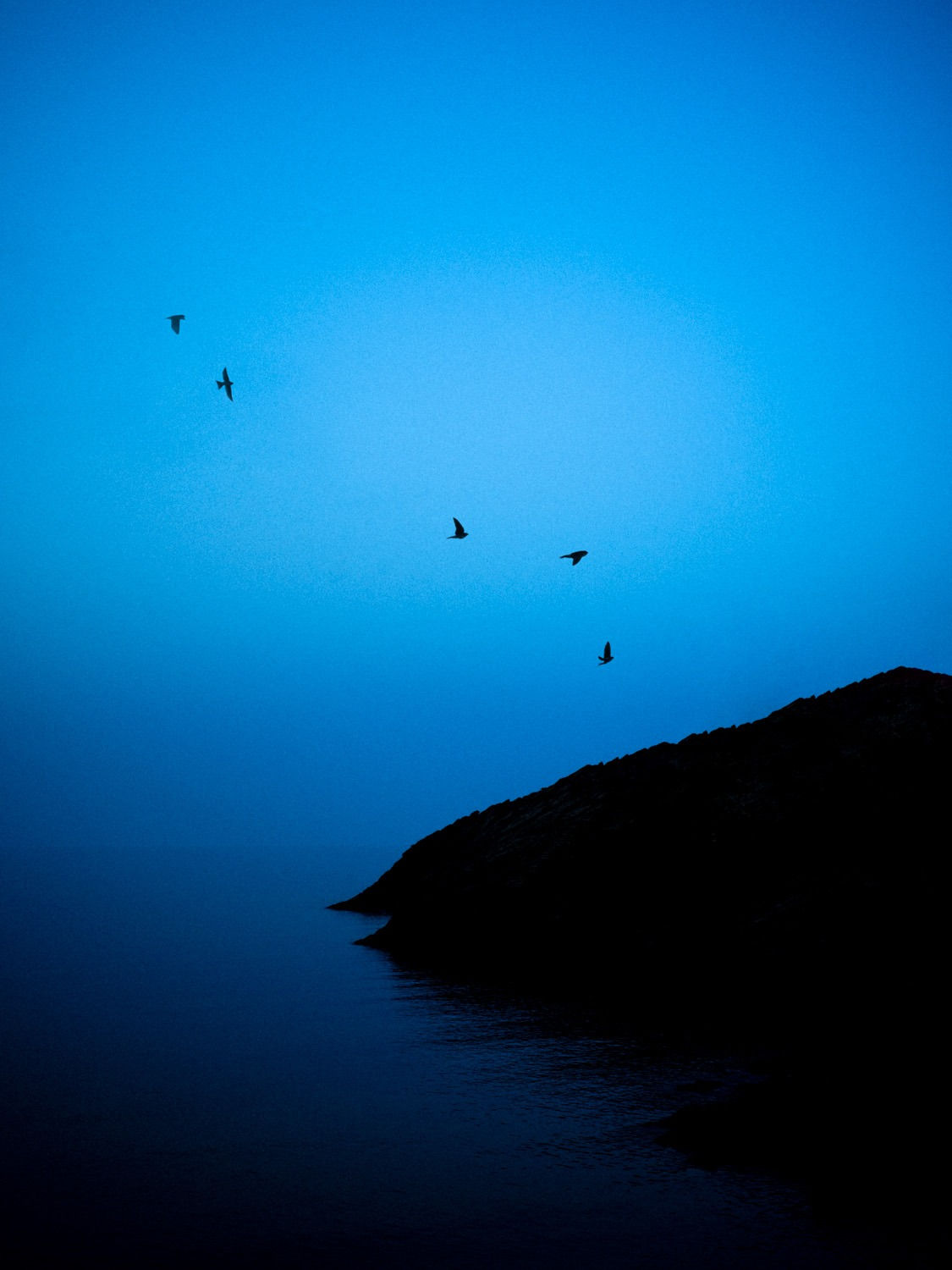 Paul Cupido, Azul, 2023