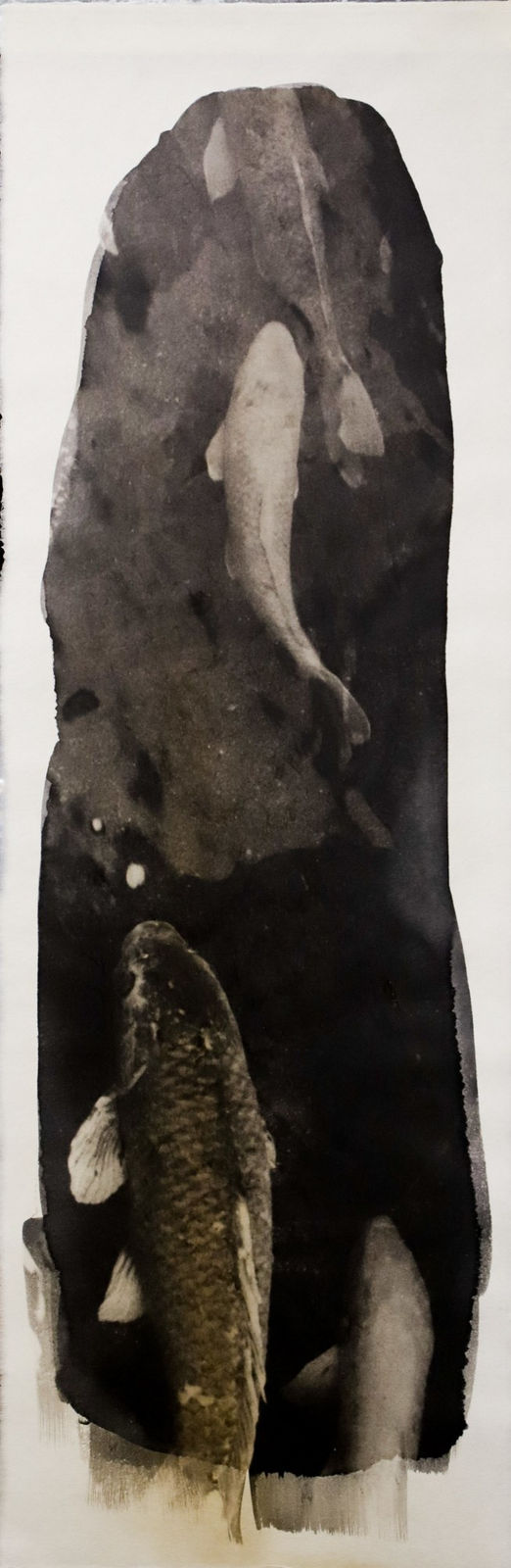 Naohiro Ninomiya, Nokomi-19, 2022