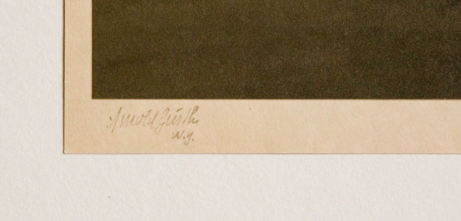 Various International Artists, Arnold Genthe - Untitled (Fuji), 1908