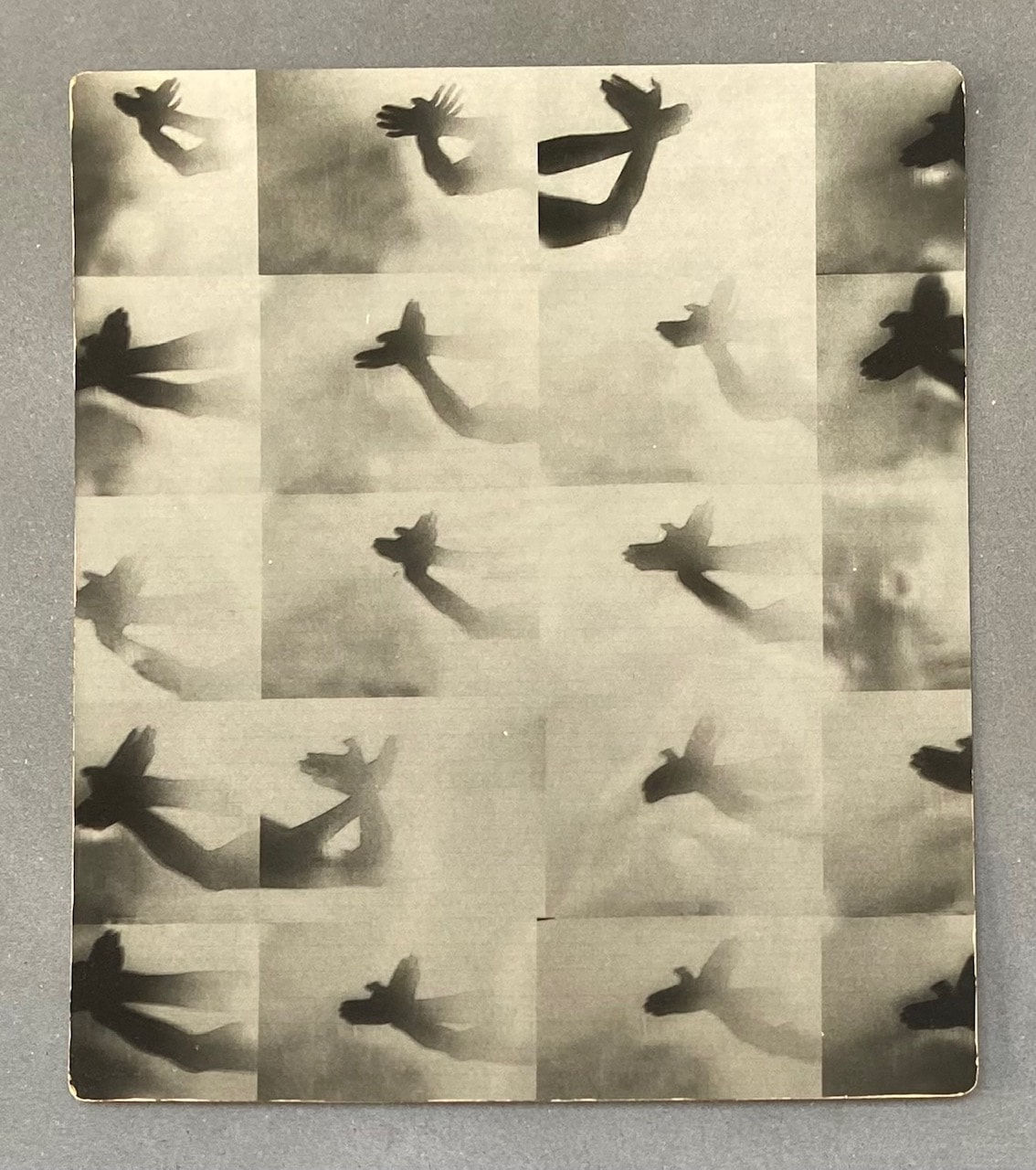 Miho Kajioka, #0071, 2019