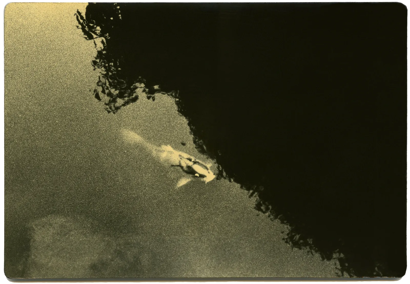 Miho Kajioka, BK0281, 2016