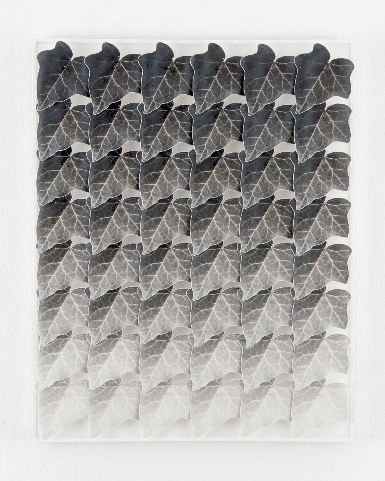 Norio Takasugi, Efeu 8-11, 2016