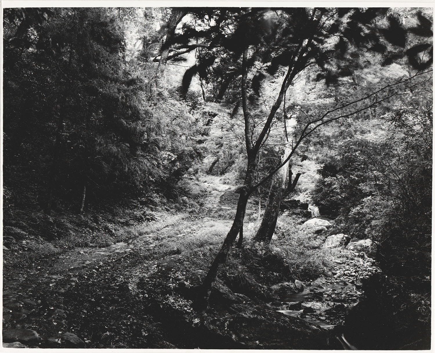 Ken Domon, Koji Junrai - Plate 109, 1963-1972