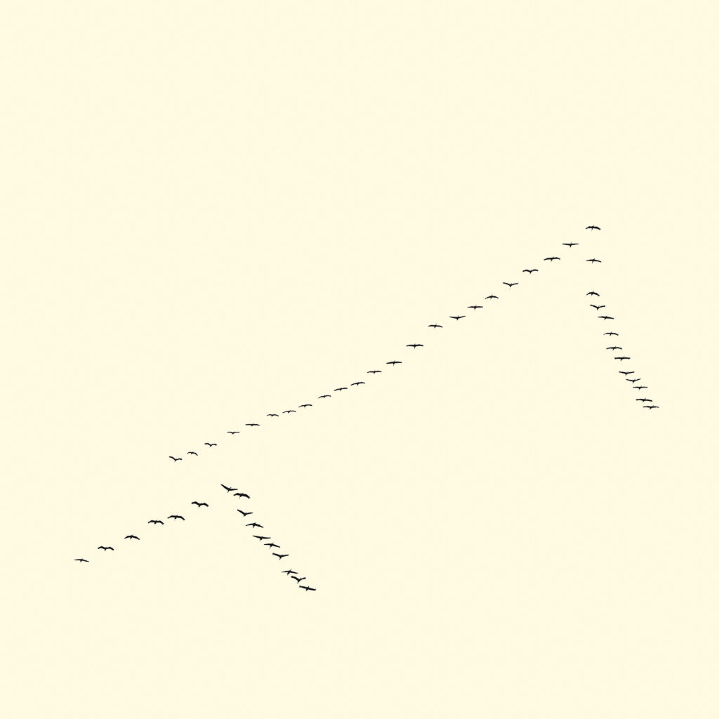 François Laxalt, Cinquante Un / Fifty One, 2015