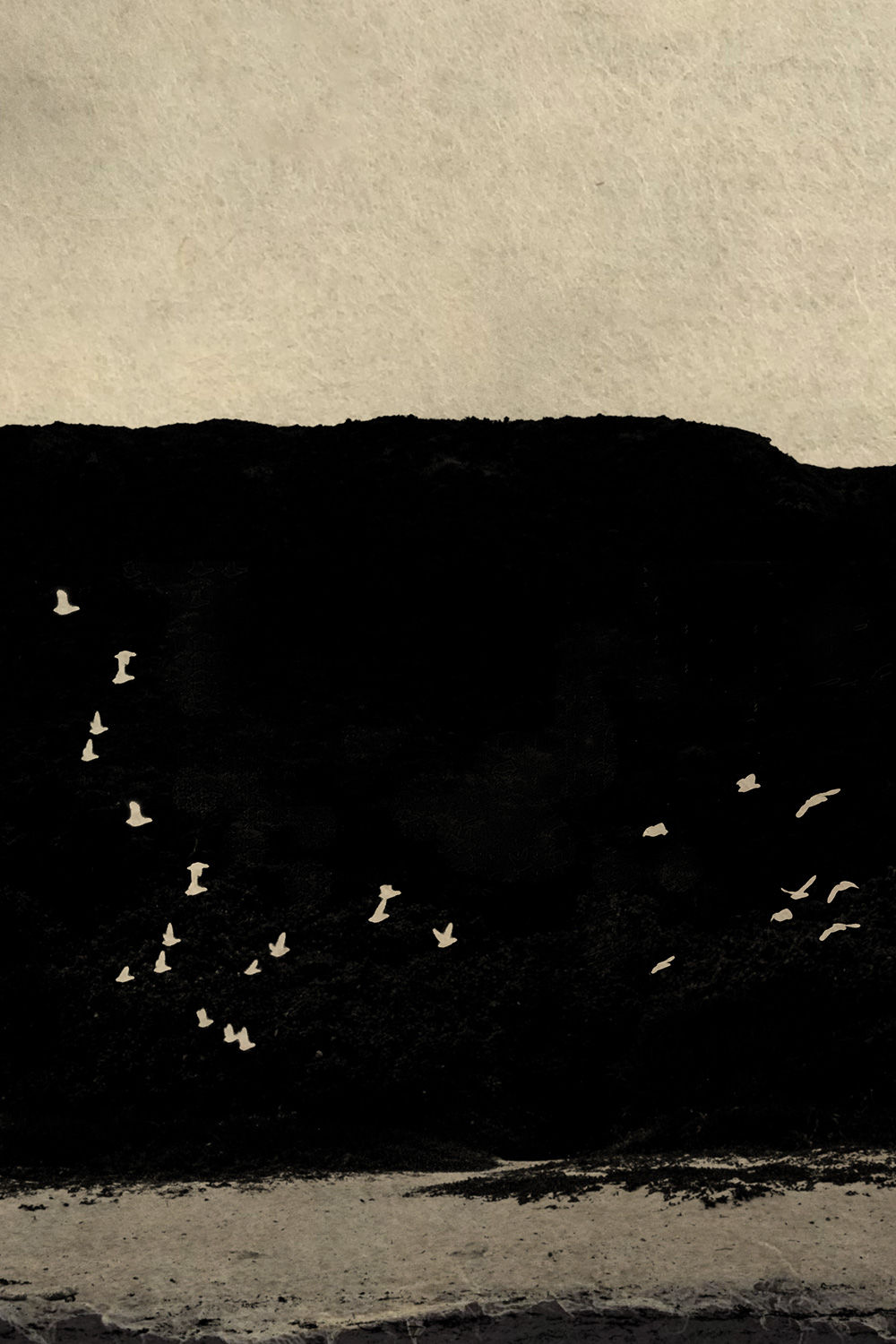 Paul Cupido, Matsushima Day 2, 2019