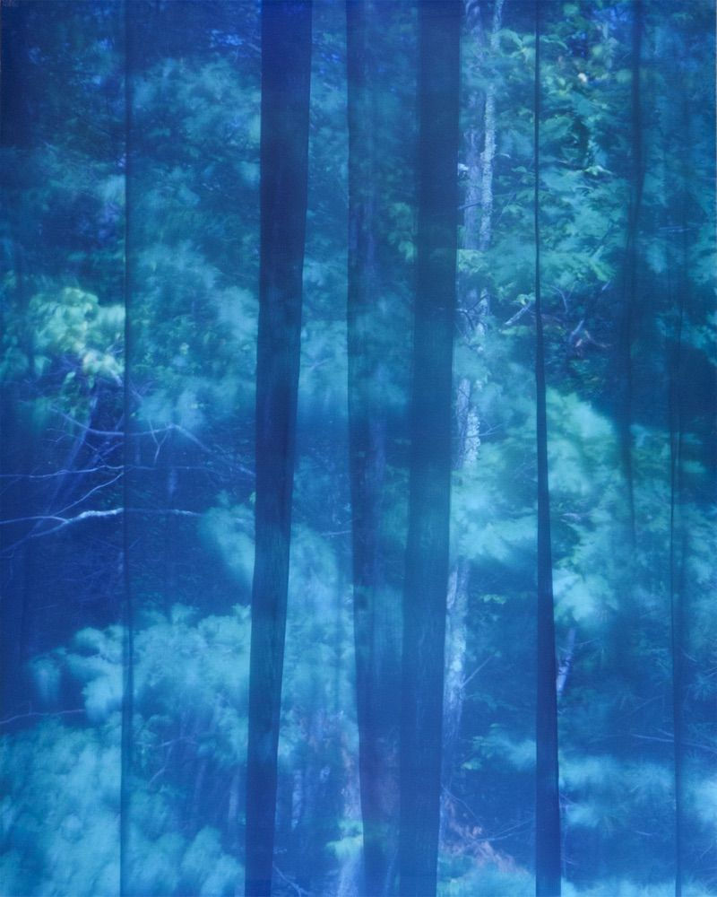 Motohiro Takeda, Untitled from Blink/Matataki, 2015