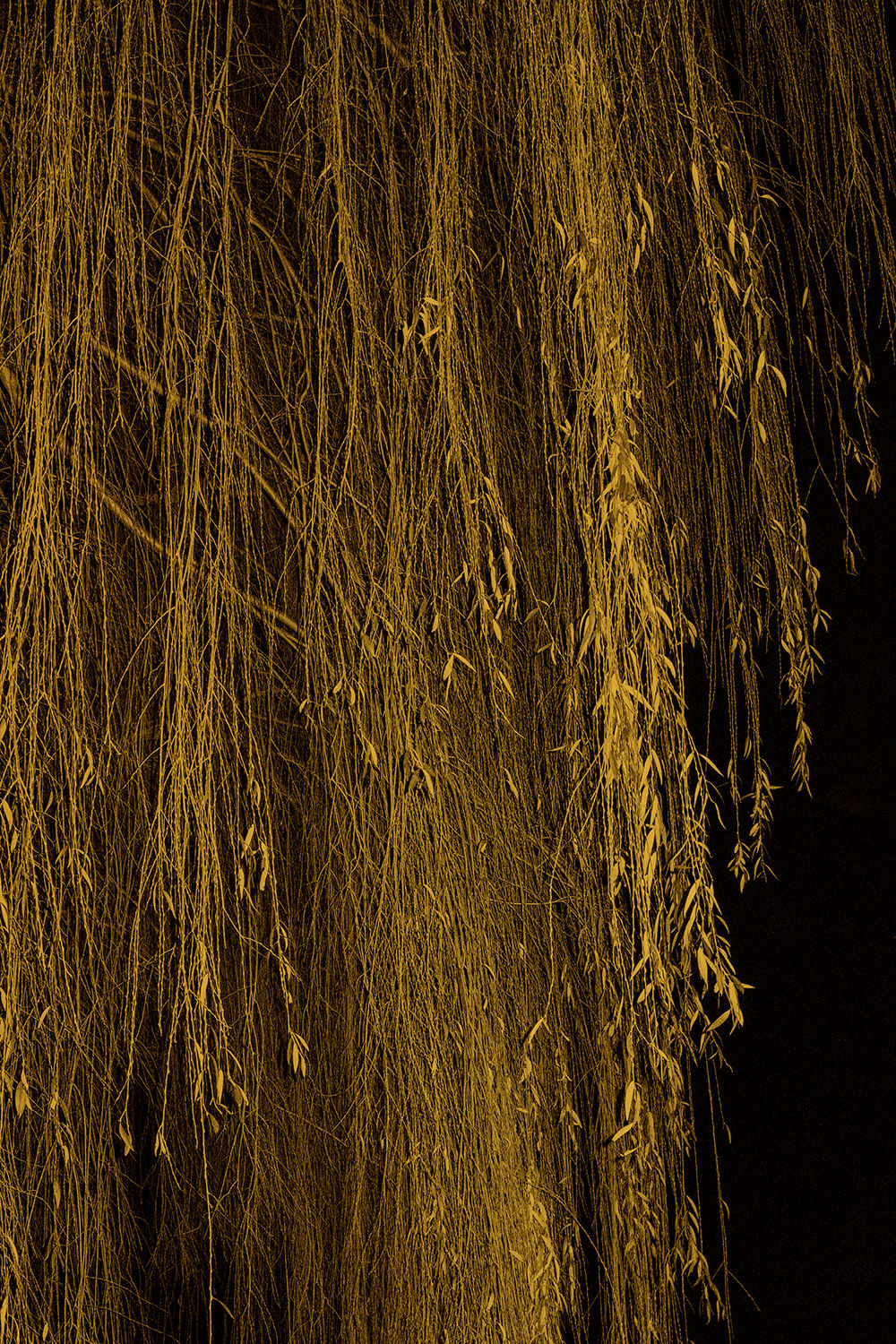 Paul Cupido, Universal Everything, 2022